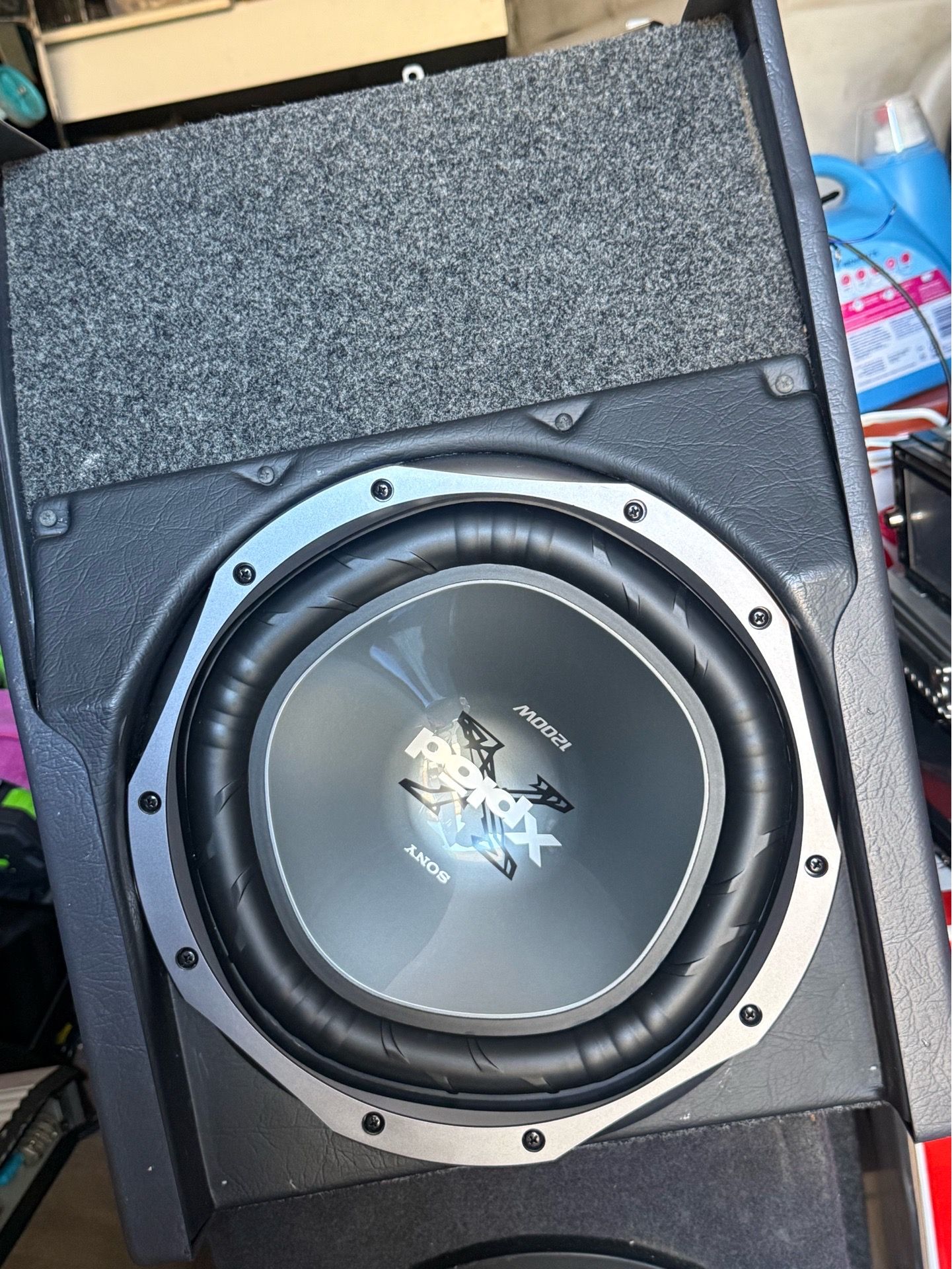 Sony 12” sub