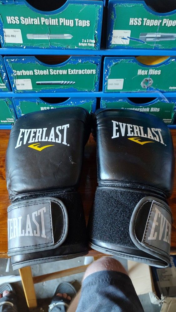 Everlast MMA Gloves 12oz