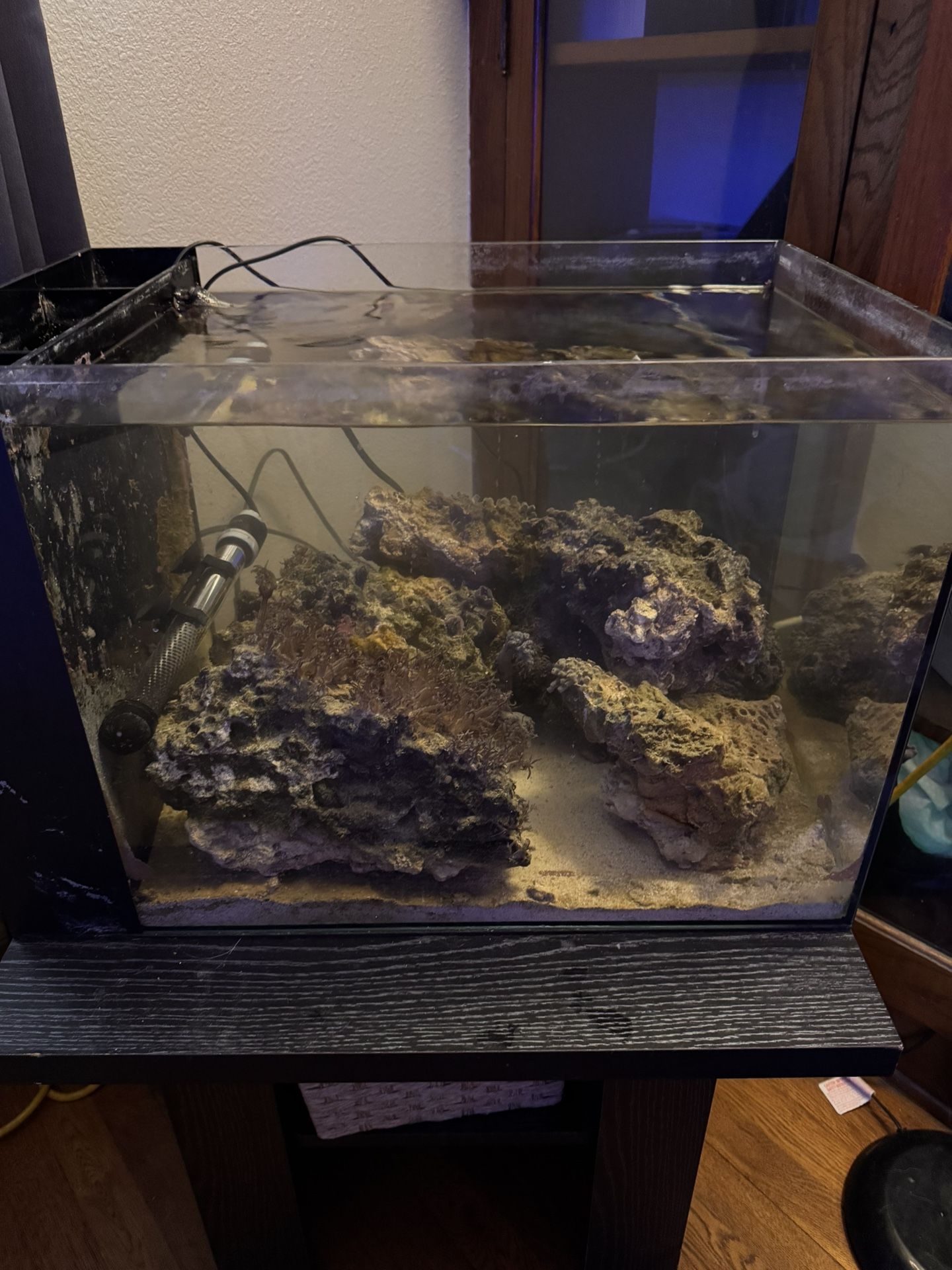 25 Gal Aio Water Box