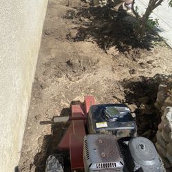 remover raiz de arboles trees trimmed 