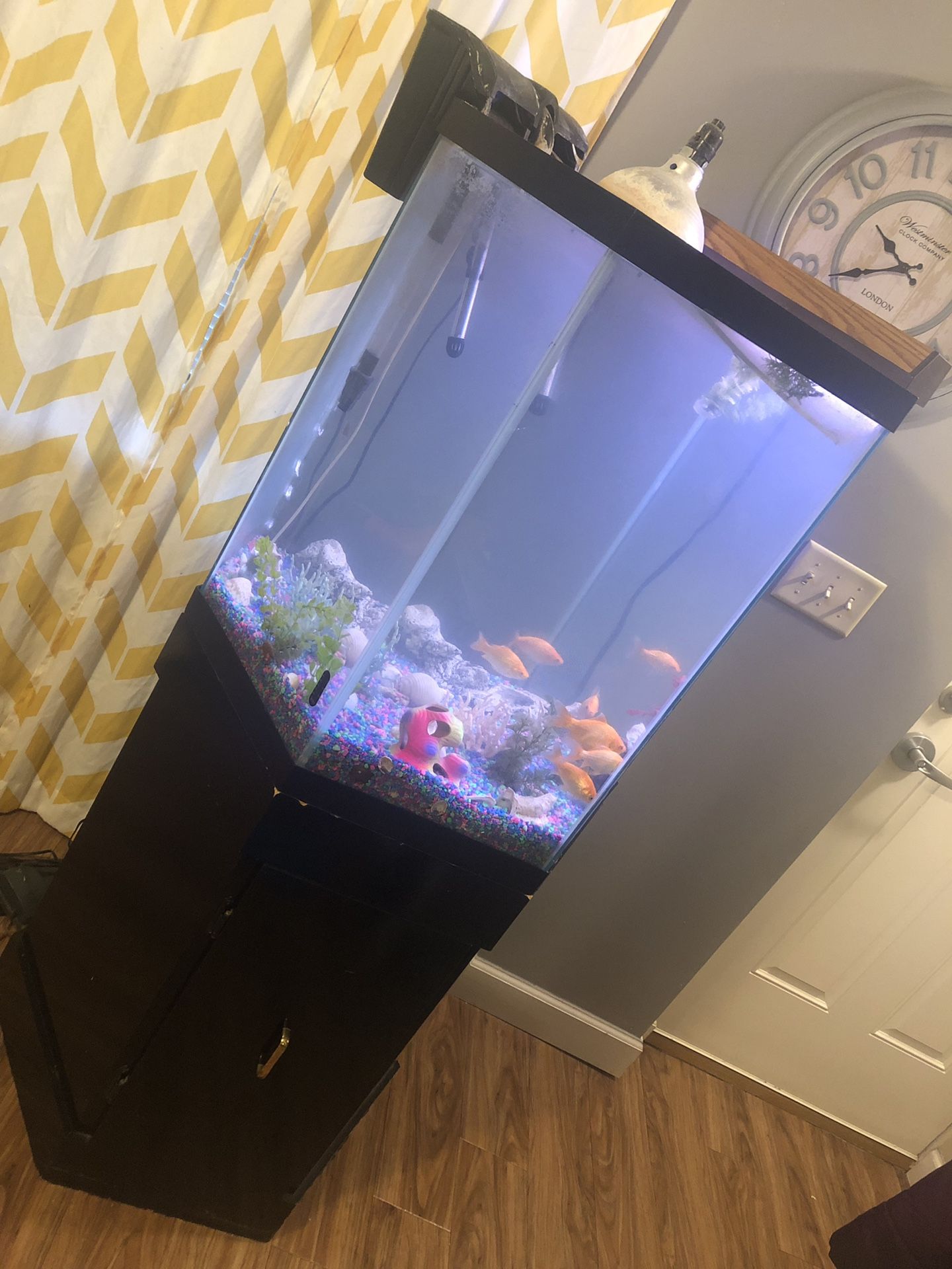 30 gallon fish tank