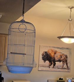 Birdcage