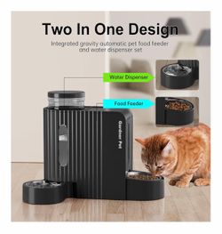 Auto food and water bowl