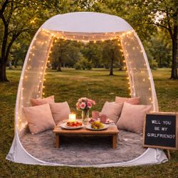 Luxury Picnic Setup