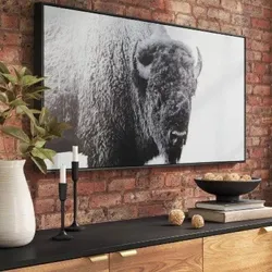 BUFFALO WALL CANVAS