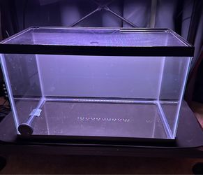 Ten Gallon Glass Aquarium with Lid