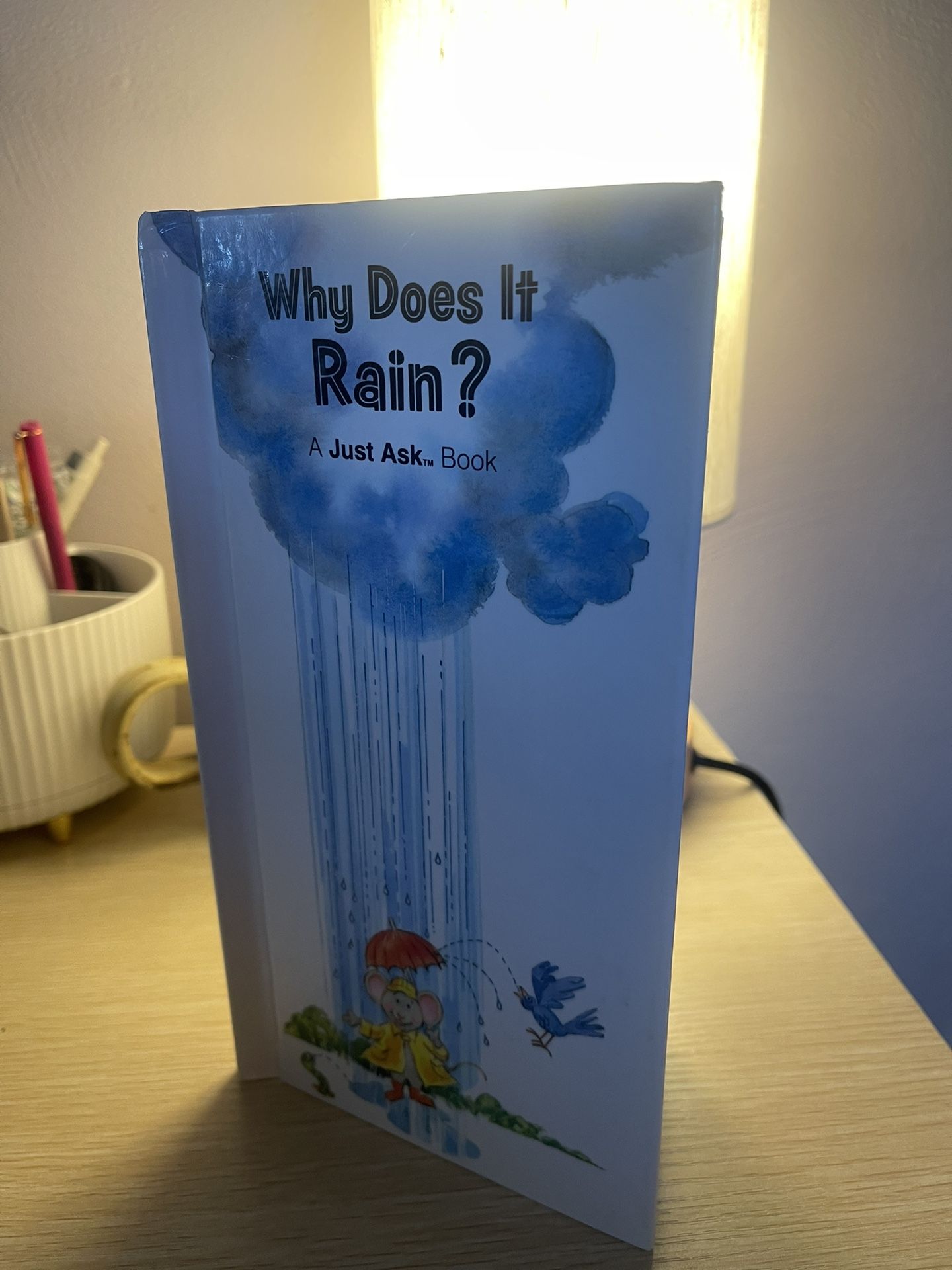 Vintage 80’s | Just Ask Book Why Does It Rain?