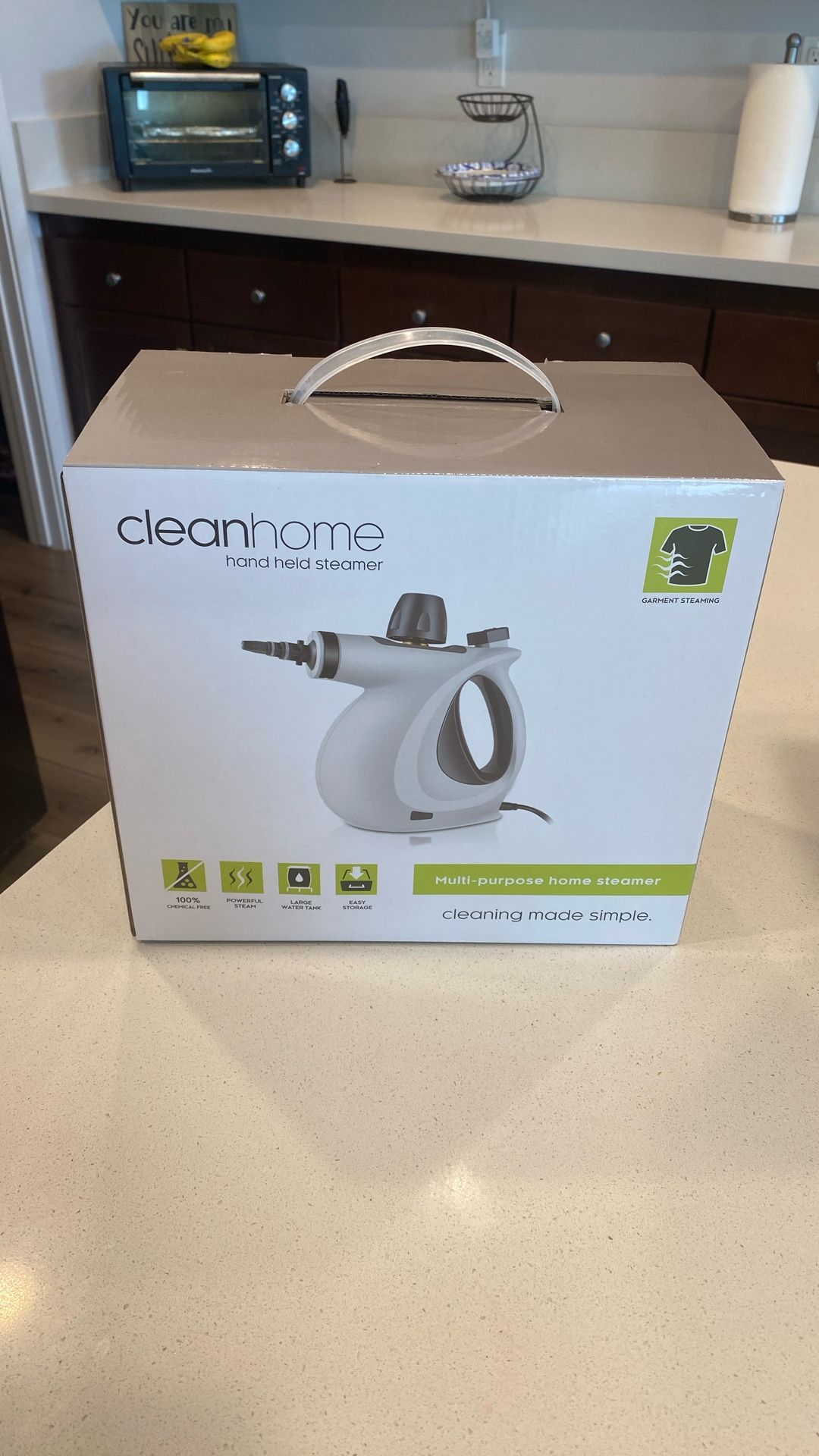 Clean home handheld steamer