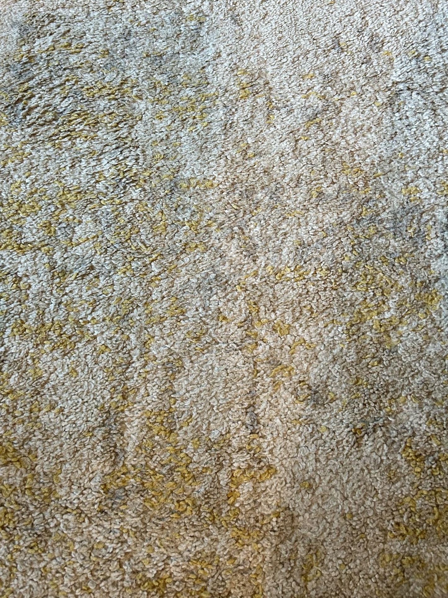 Safavich Rug 9x12. No Kids No Pets 3.5 Yrs. 
