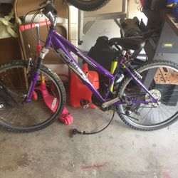 Schwinn Bike 26 Inch