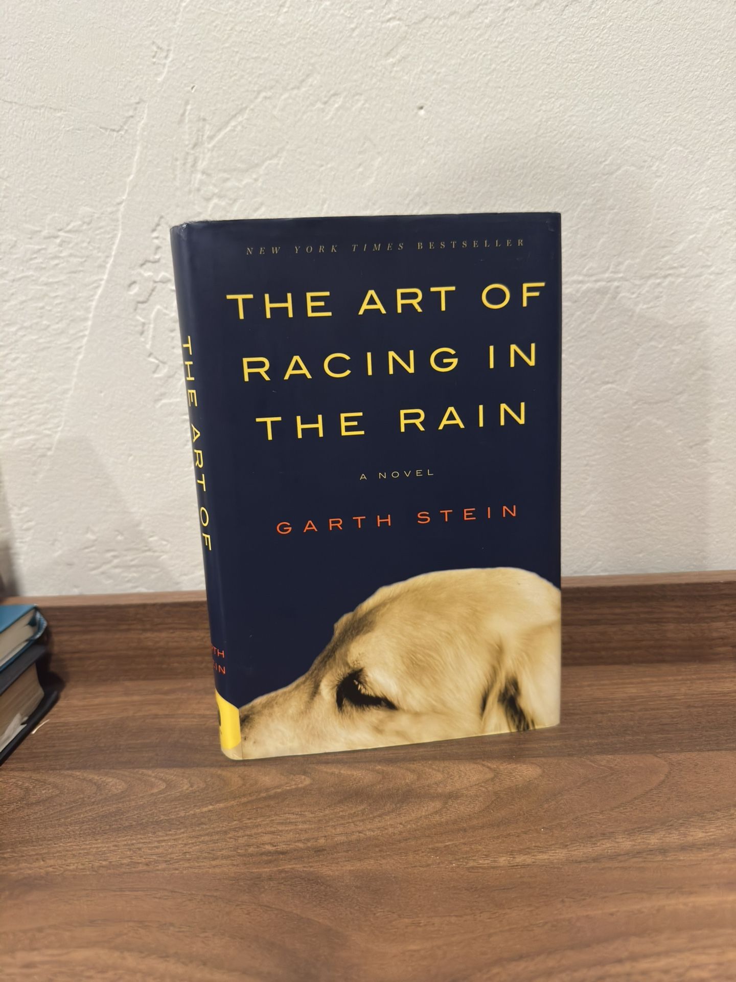 The Art Of Racing In The Rain Signed