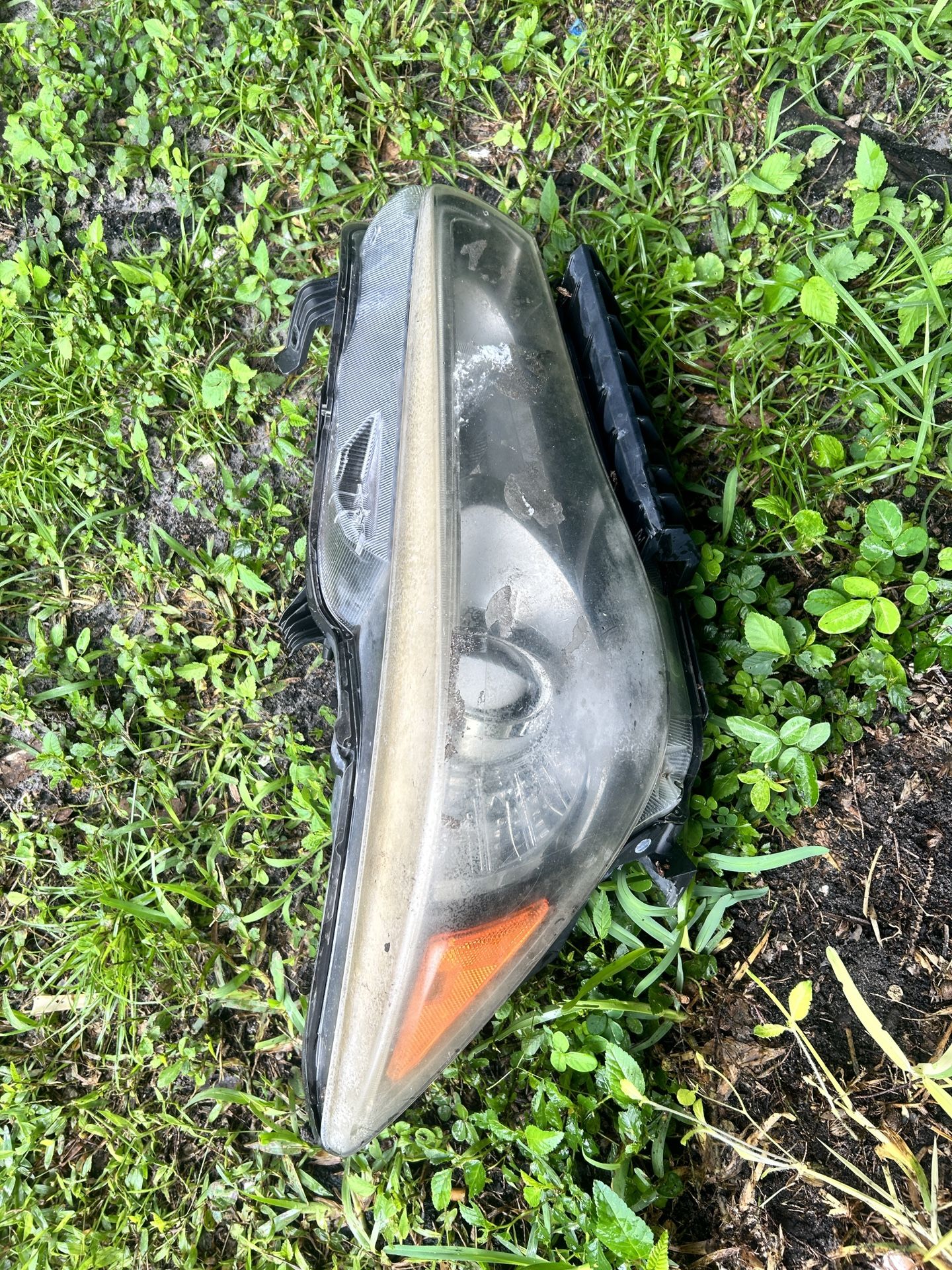 OEM Right Side Headlight-2014 INFINITI Q50