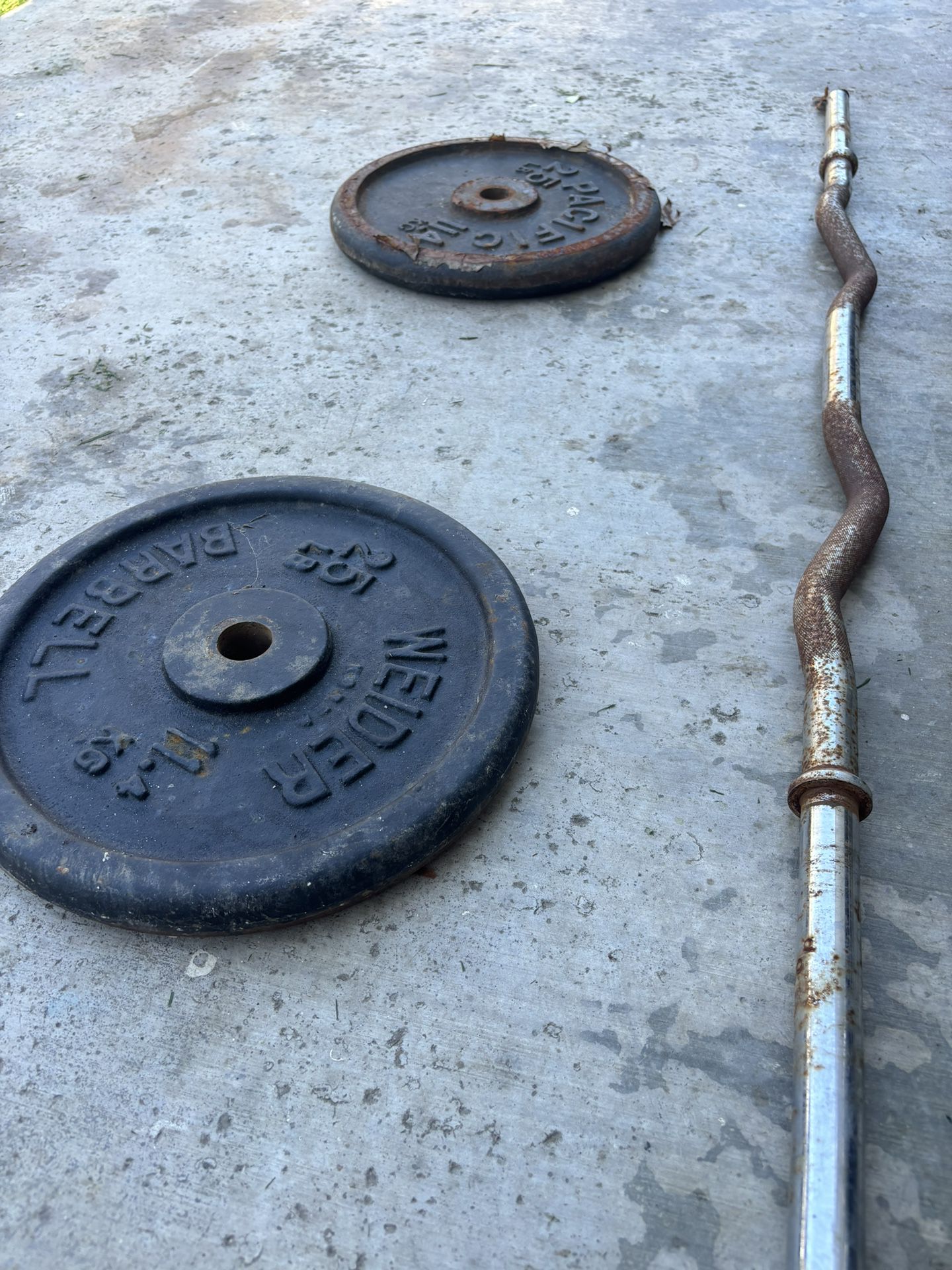 Curling Bar And Weights