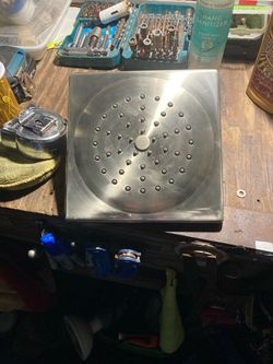 Moen (rain series) shower head