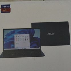 NEW 15.6" Asus Laptop Intel Pentium Processor Windows 11 L510MA-TH21