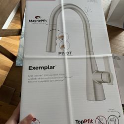 Pfister Exemplar New Sealed Kitchen Faucet