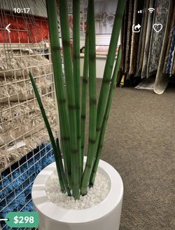 Artificial Plants