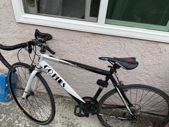 Go Plus Tempe Road Bike