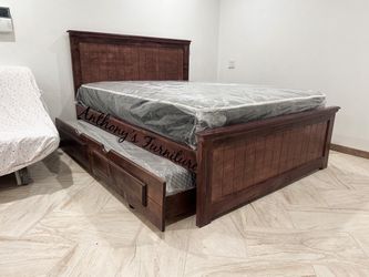 Queen bed with trundle and mattress