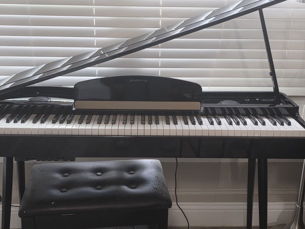 Fully Weighted 88 Key Piano 