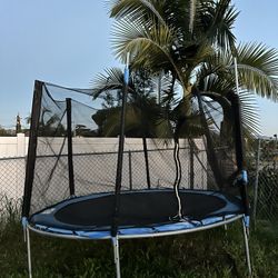 Trampoline 