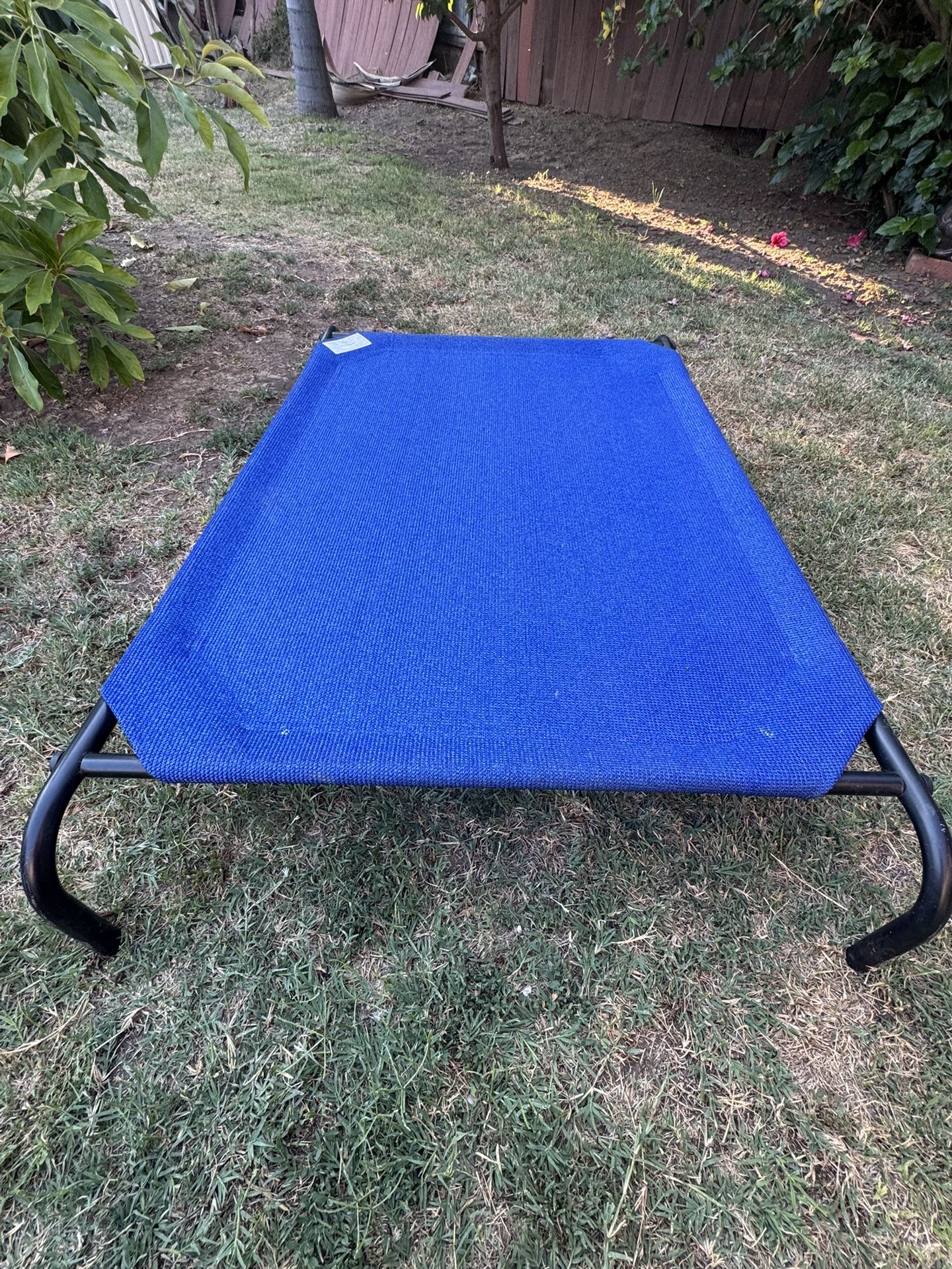 Coolaroo Elevated Dog Bed