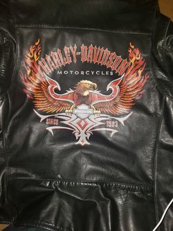 Harley Davidson leather jacket