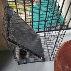 Small PET CRATE