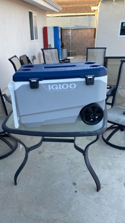 Semi New Igloo Cooler In Good Condition