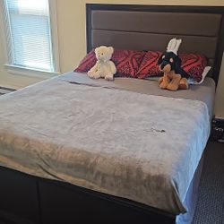 Bed