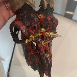 Decorated Domestic Goat Skull