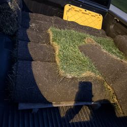 Kentucky Bluegrass Sod Rolls 