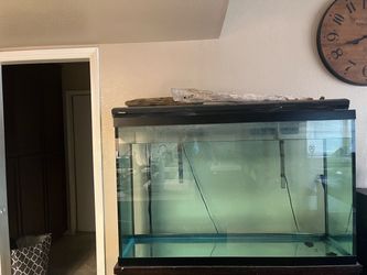 80 gallon fish tank -stand NOT included