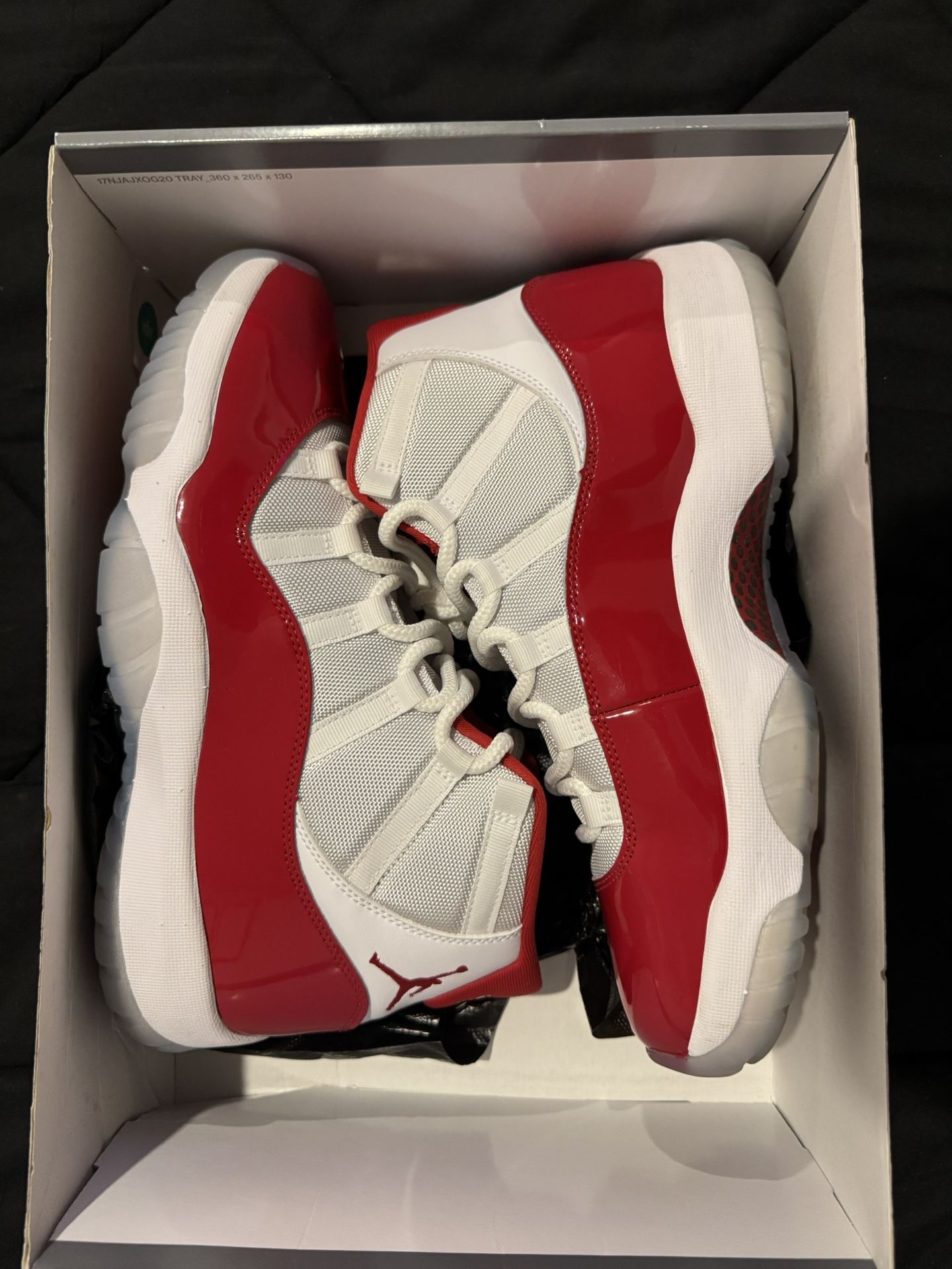Jordan Retro 11 Cherry