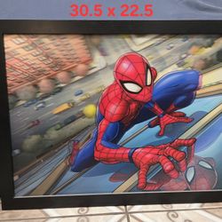 Spider-Man Large 3D Frame