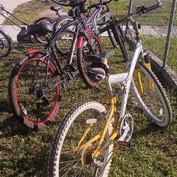Bicicleta Todo Tipo