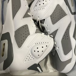 Jordan 6 Cool Grey Sz 10.5 