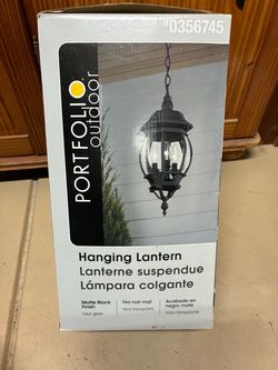 Hanging light. New.