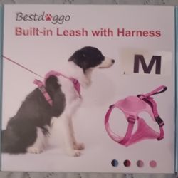 Leash With Harness 