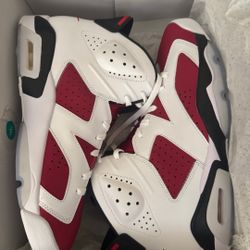 Jordan 6 Carmine Size 12.5 New