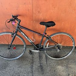 Vita Specialized Bike 