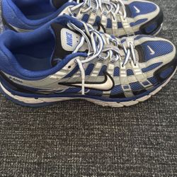 blue nike p6000