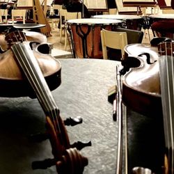 Violin/viola/piano lessons 🎻🎹