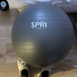 Weighted Yoga Ball