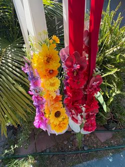 Leis
