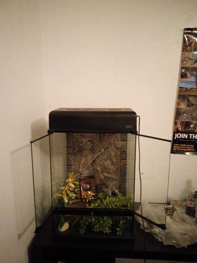 Exo Terra 18x18x24 Aztec Terrarium Kit for Sale in San Diego, CA OfferUp