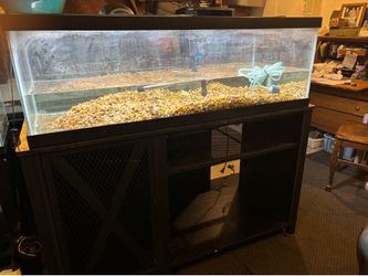60 gallon aquarium accessories