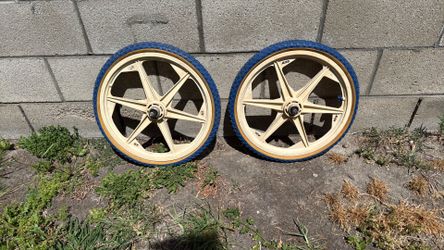 GT Skyway Rims