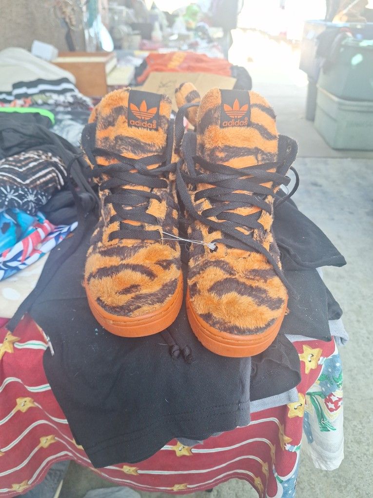 Tigger ADIDA shoe.