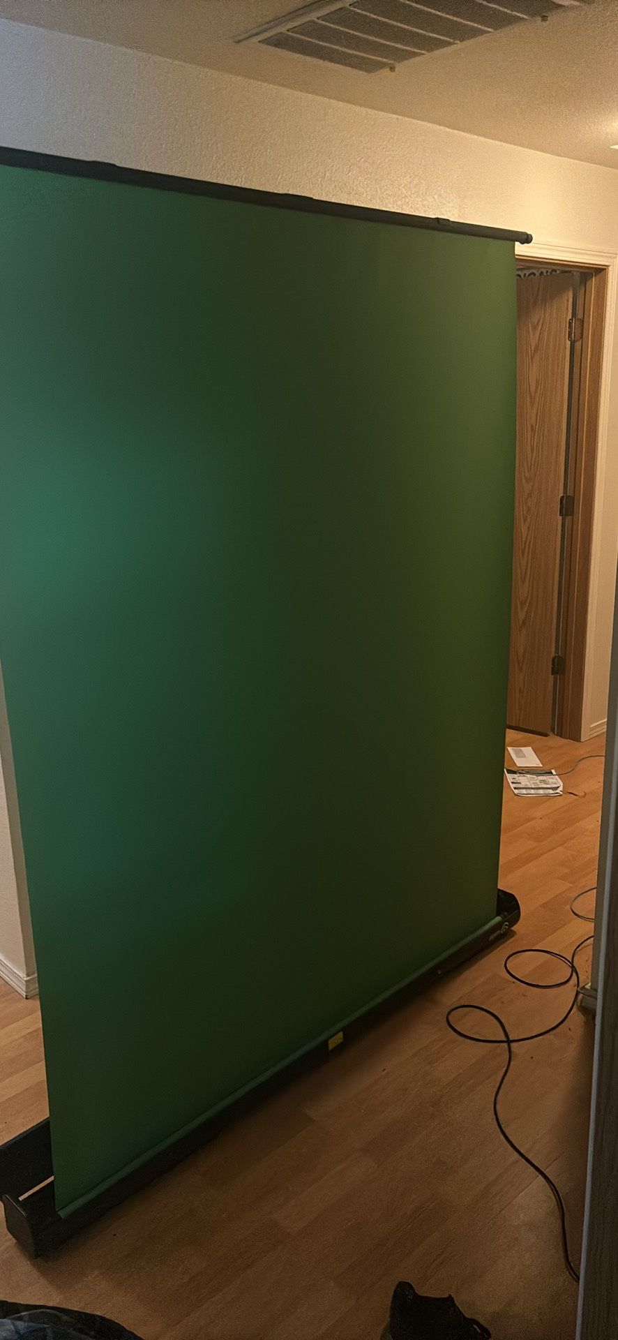 El Gato Green Screen